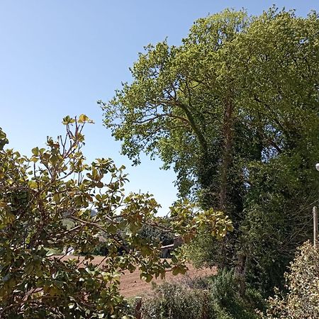 OrdesA Casa Do San Paio De Buscas公寓 外观 照片