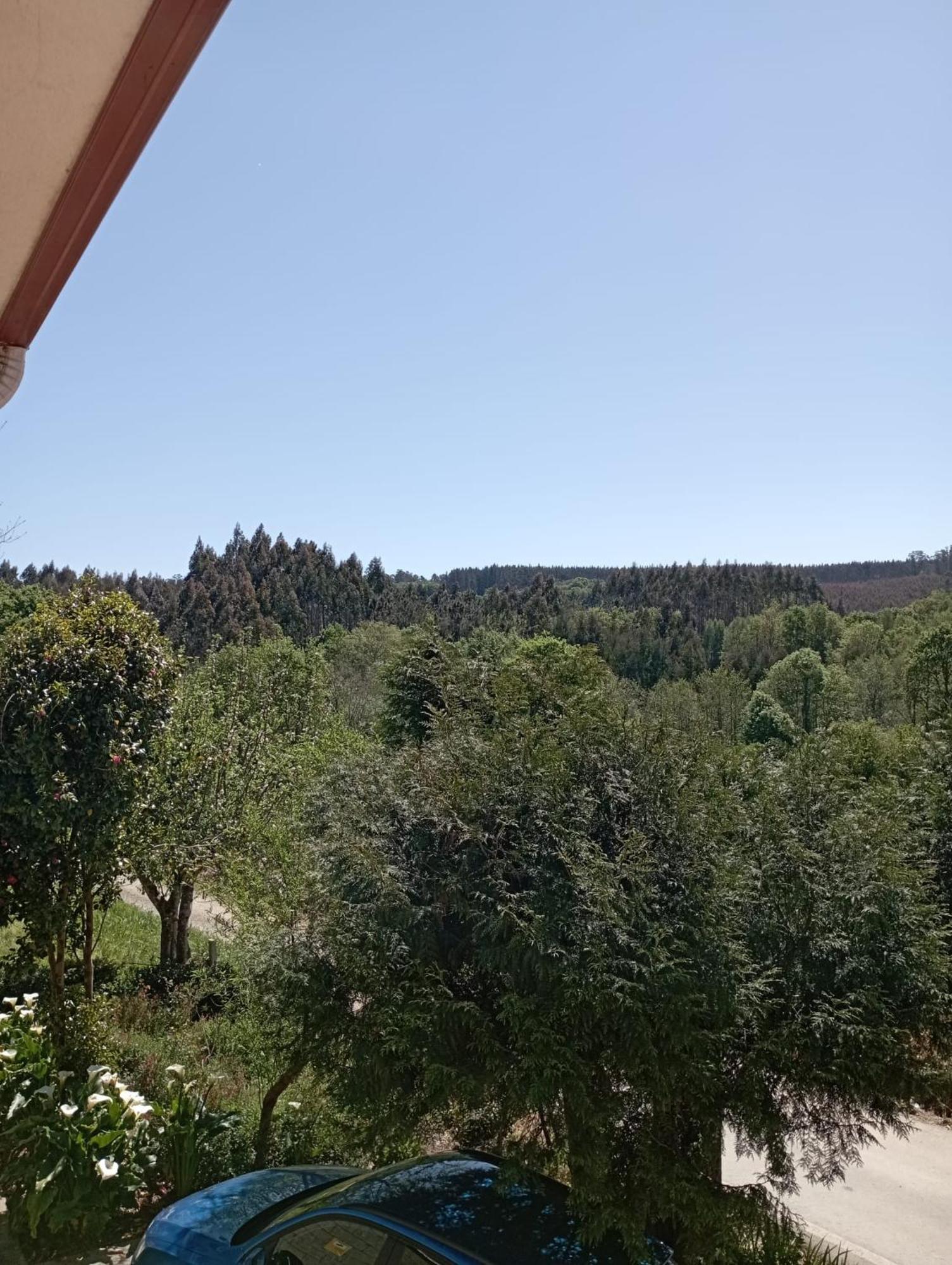 OrdesA Casa Do San Paio De Buscas公寓 外观 照片