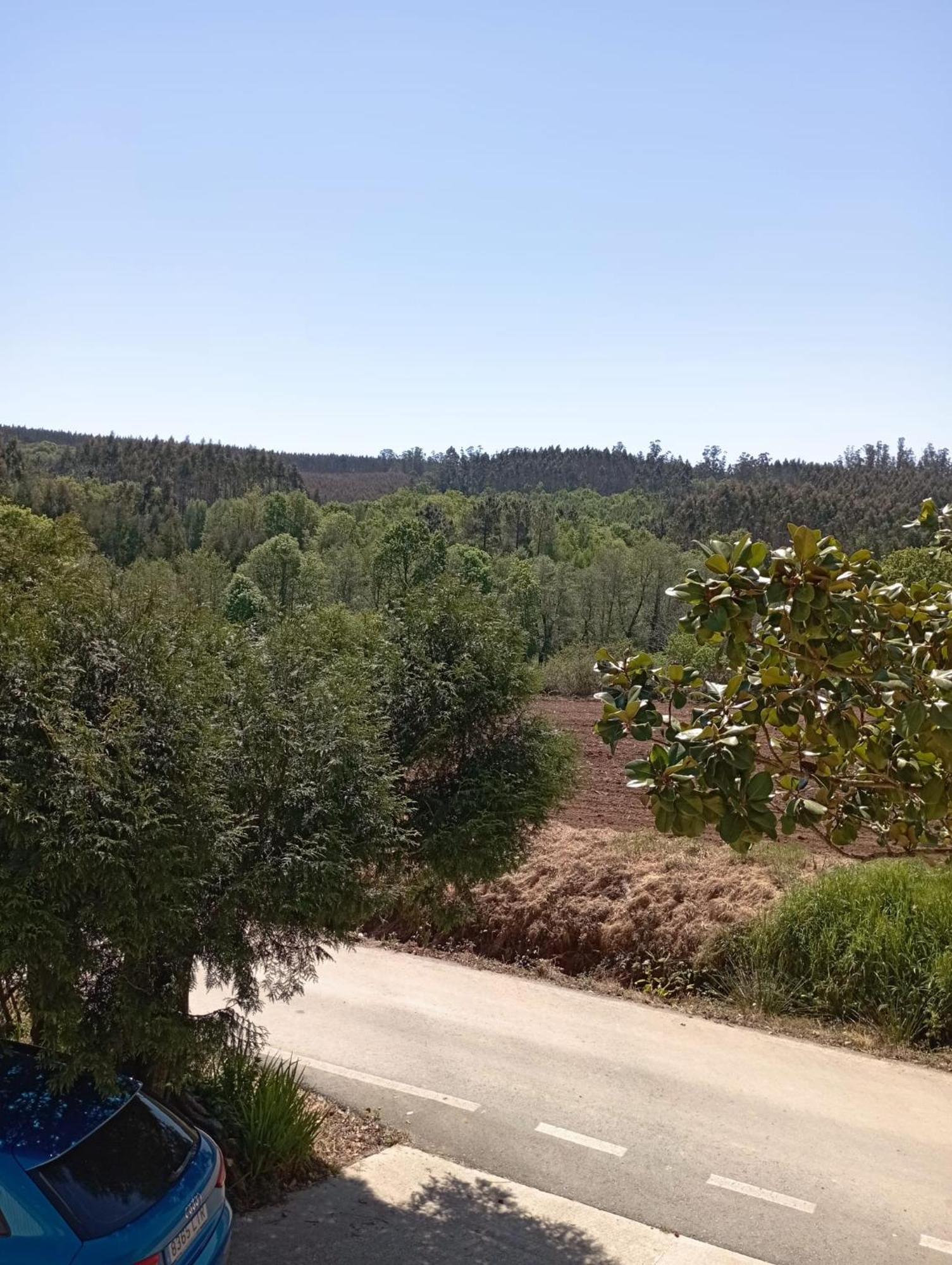 OrdesA Casa Do San Paio De Buscas公寓 外观 照片