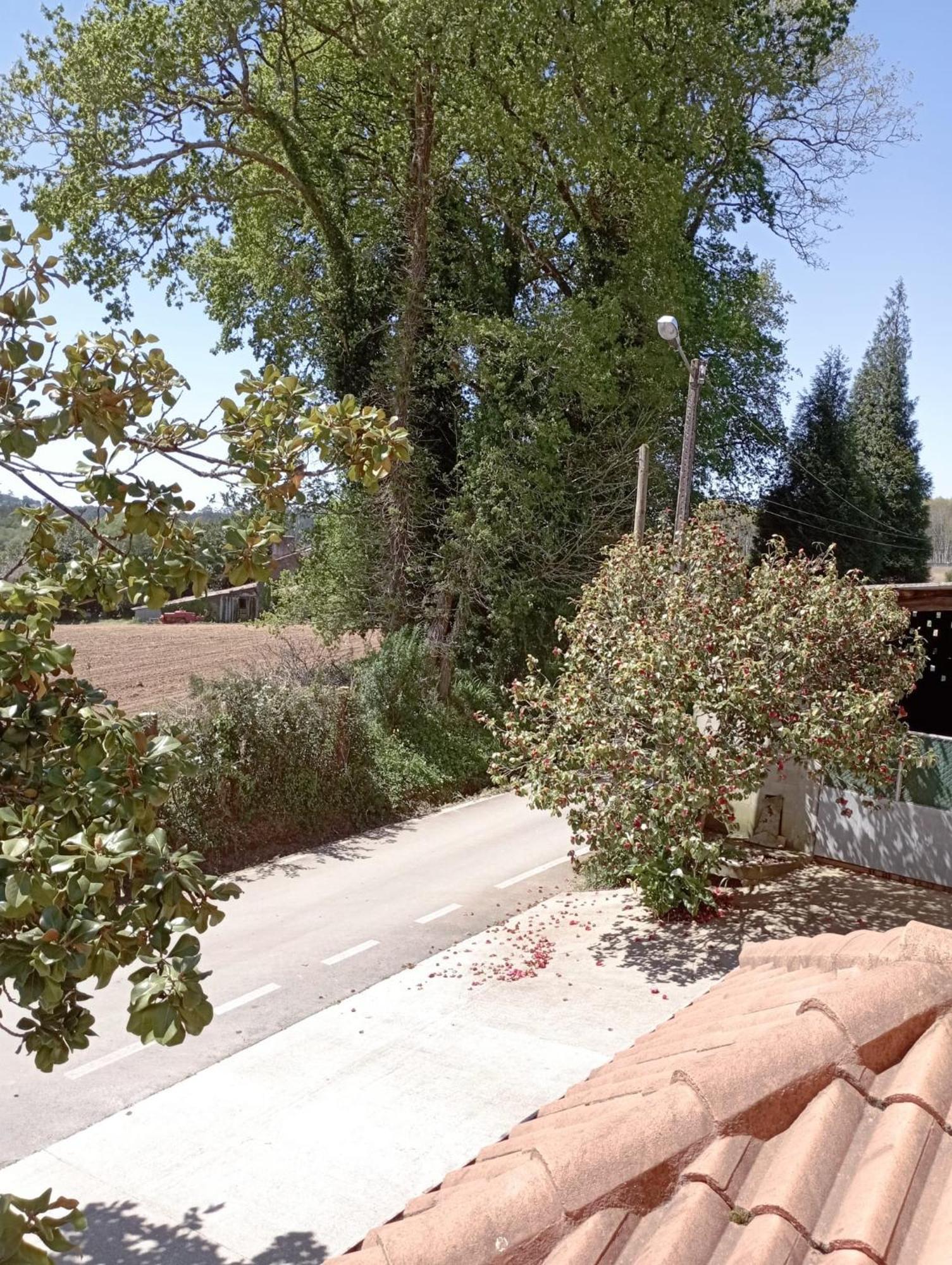 OrdesA Casa Do San Paio De Buscas公寓 外观 照片