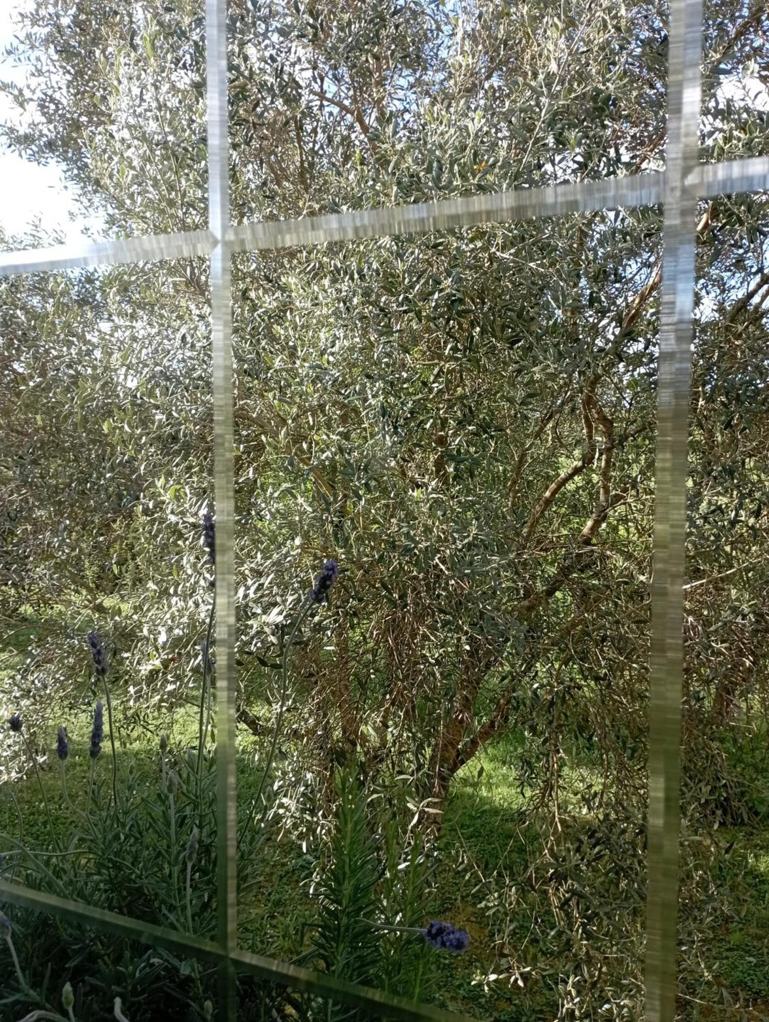 OrdesA Casa Do San Paio De Buscas公寓 外观 照片