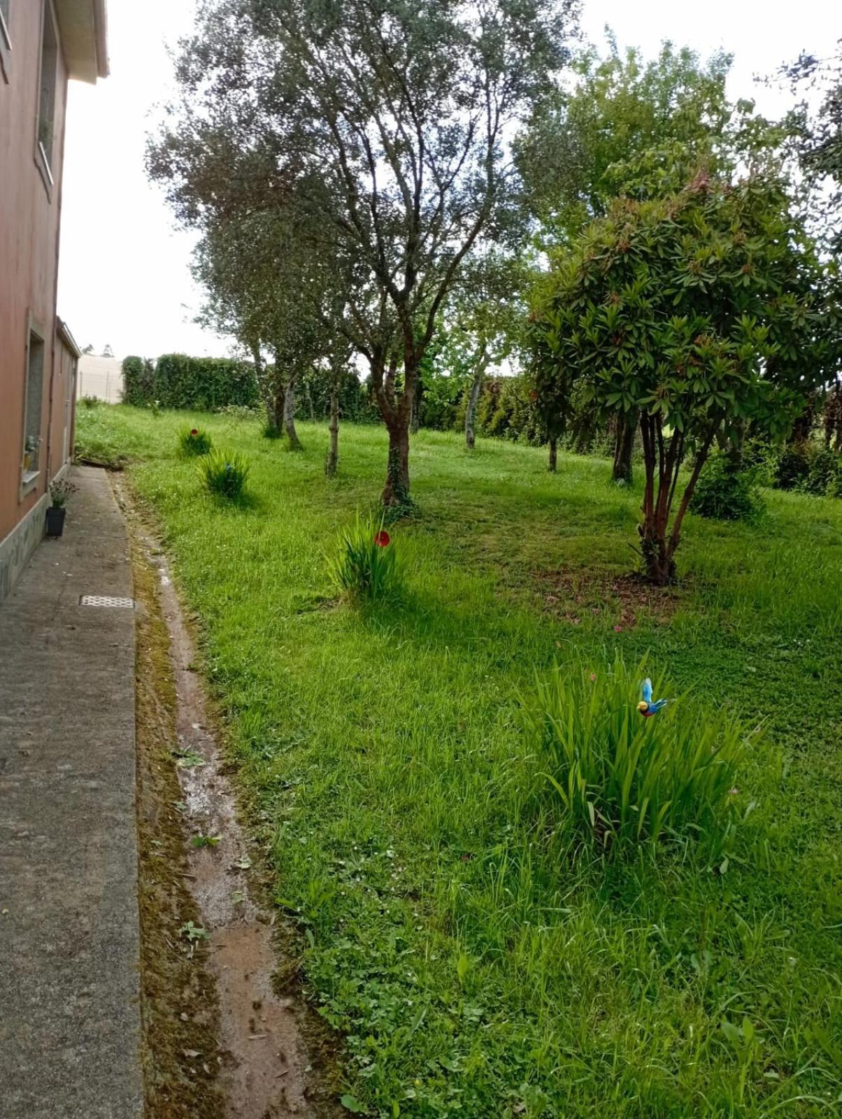 OrdesA Casa Do San Paio De Buscas公寓 外观 照片