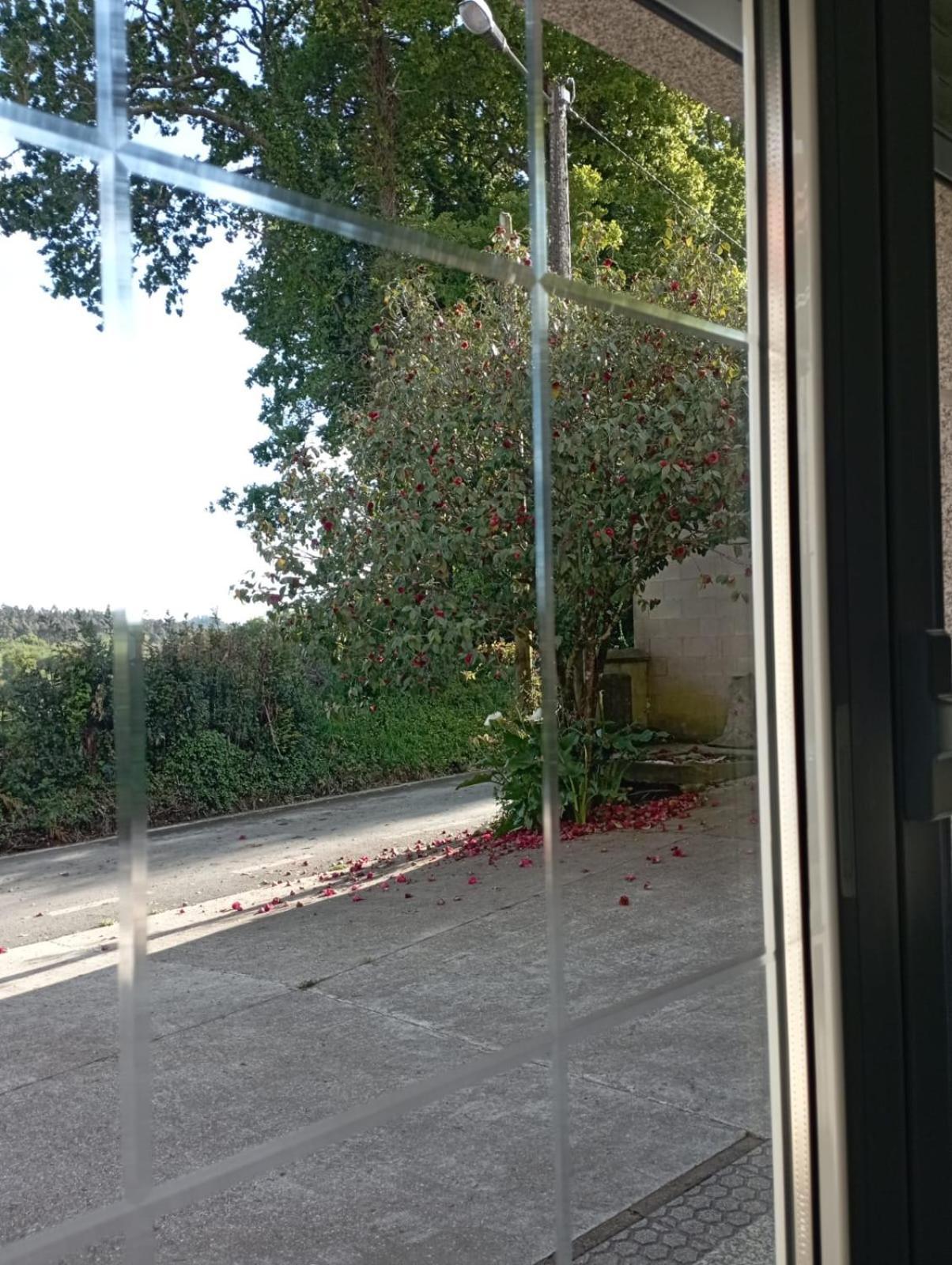 OrdesA Casa Do San Paio De Buscas公寓 外观 照片