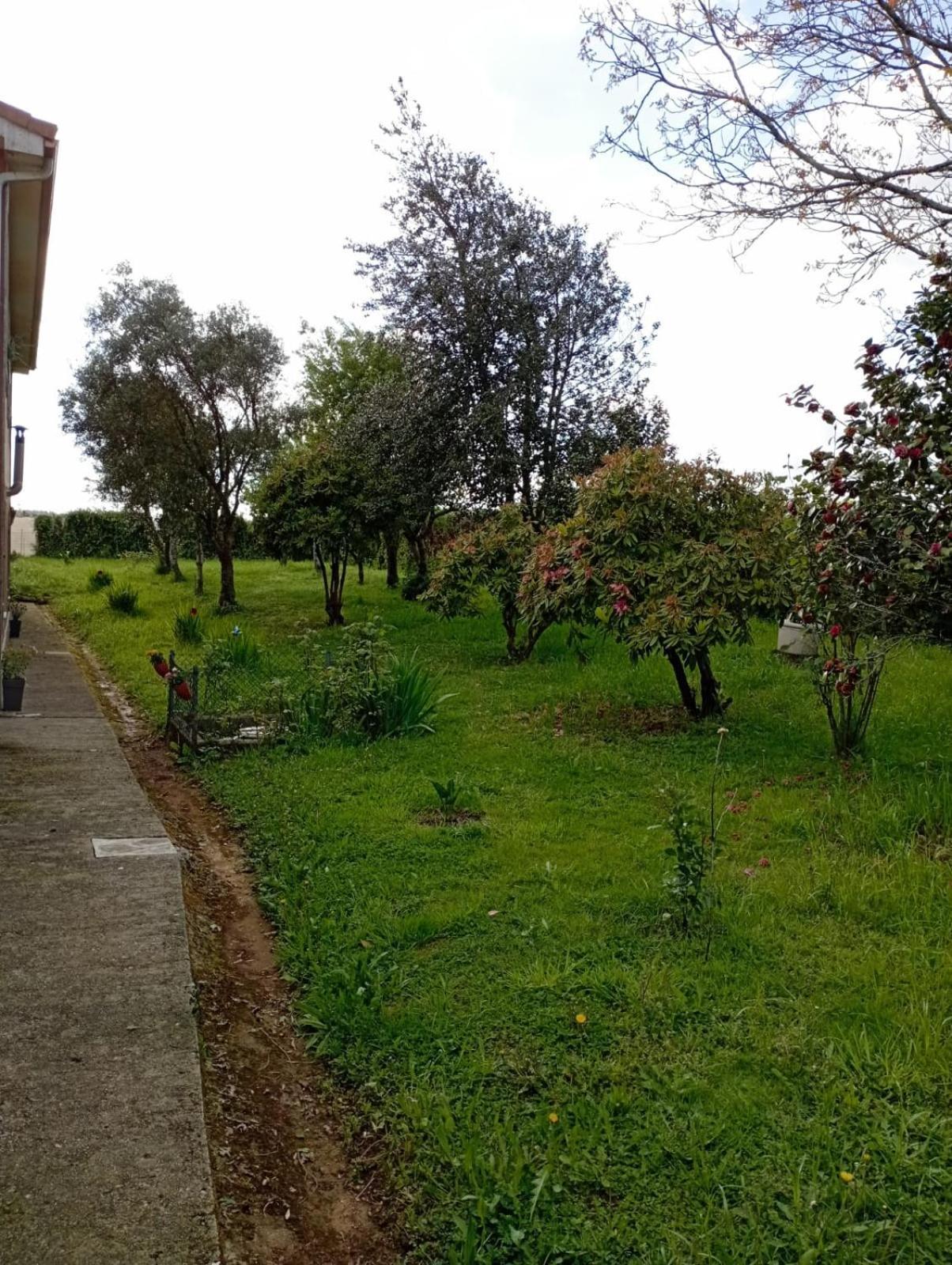 OrdesA Casa Do San Paio De Buscas公寓 外观 照片