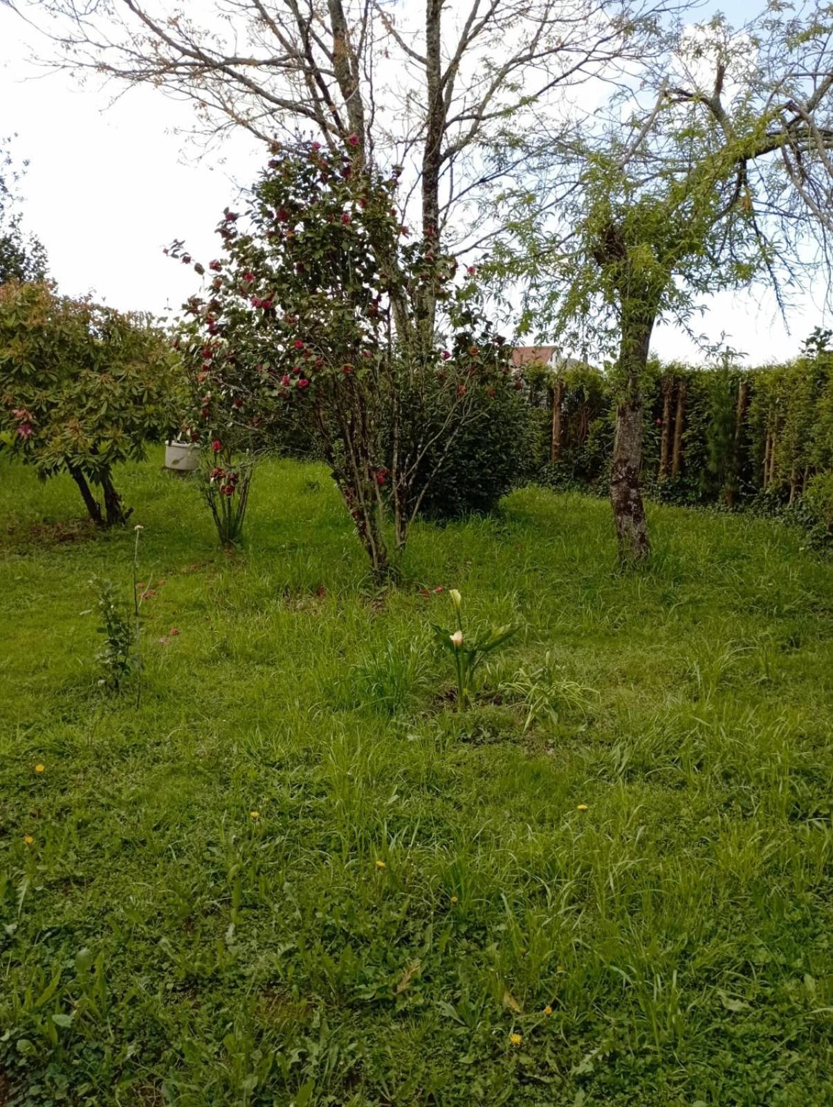 OrdesA Casa Do San Paio De Buscas公寓 外观 照片