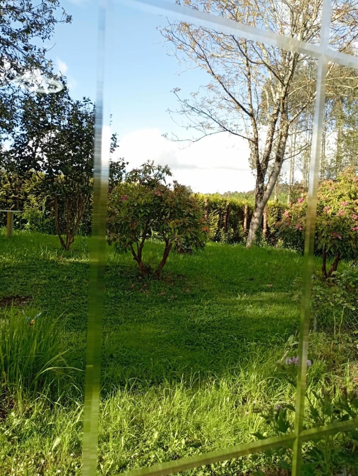 OrdesA Casa Do San Paio De Buscas公寓 外观 照片