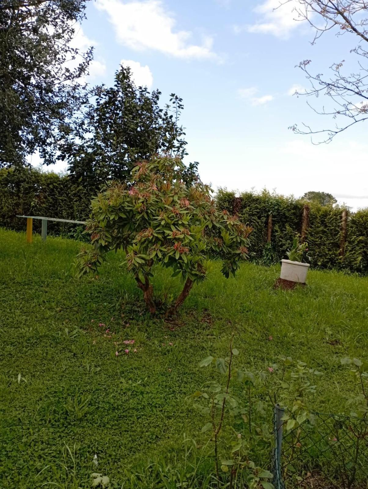 OrdesA Casa Do San Paio De Buscas公寓 外观 照片