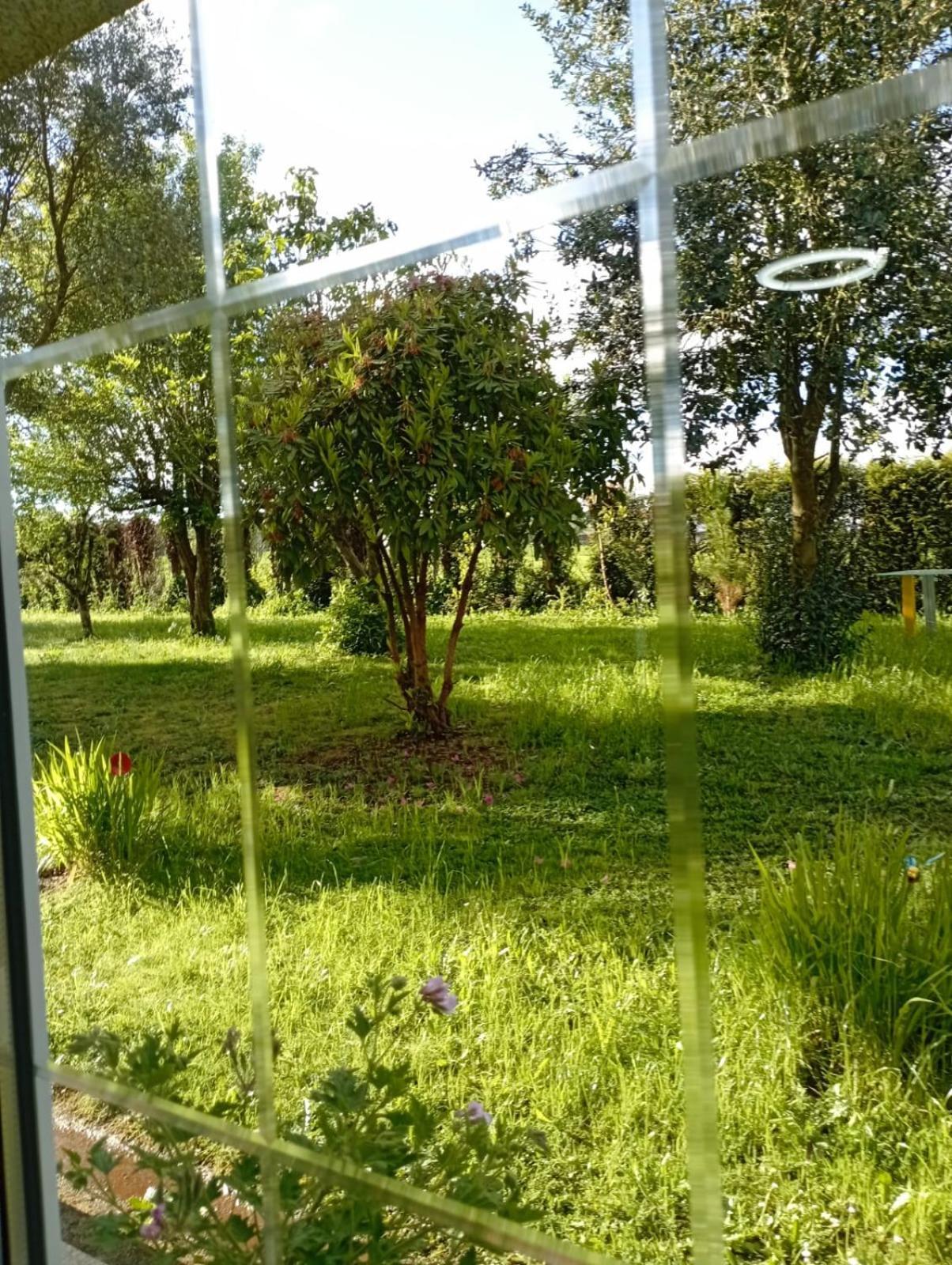 OrdesA Casa Do San Paio De Buscas公寓 外观 照片